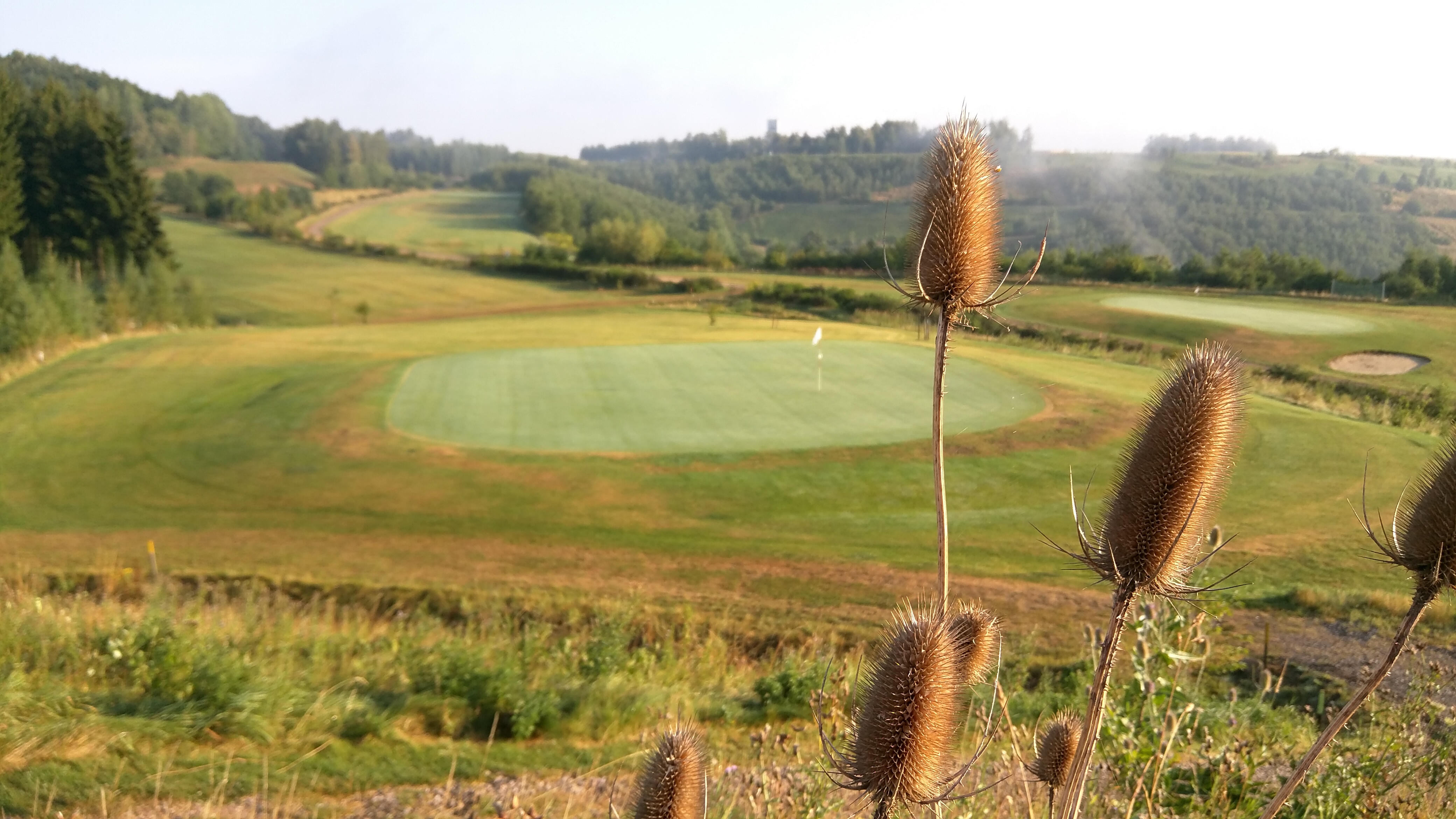 Golfpark Westerzgebirge