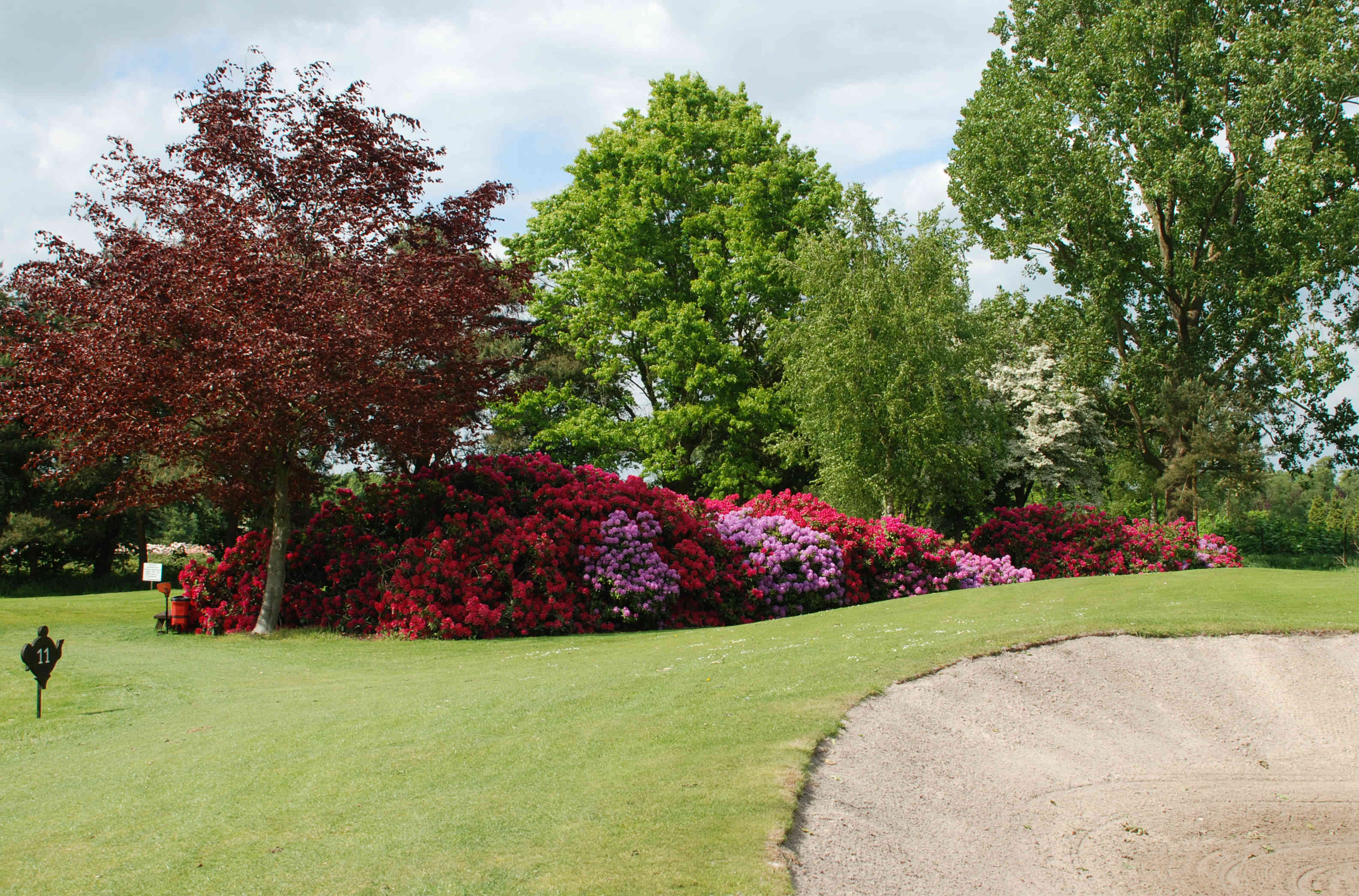 Impressionen GC Ostfriesland