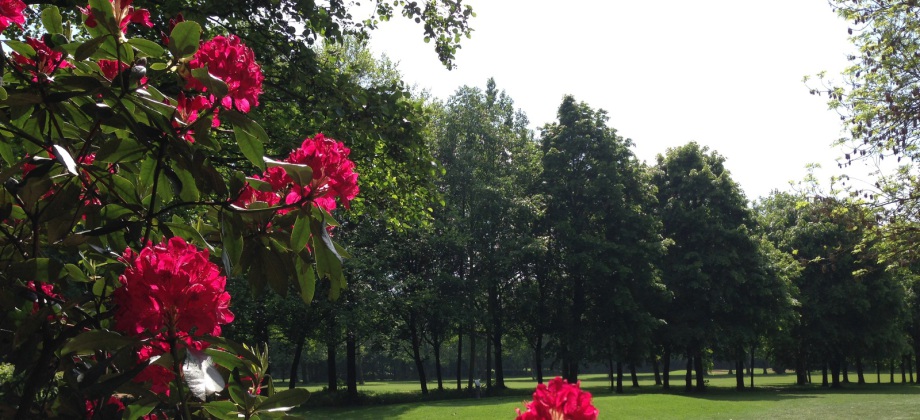 Impressionen des GC Ravensberger Land. (Foto: GC Ravensberger Land)