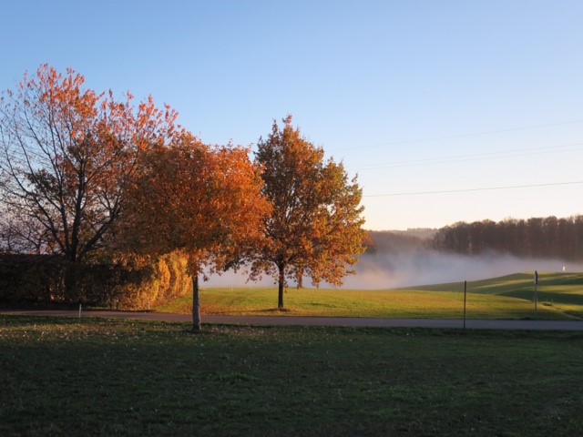 Der Golfclub Rickenbach im Südschwarzwald. (Foto: Golfclub Rickenbach)