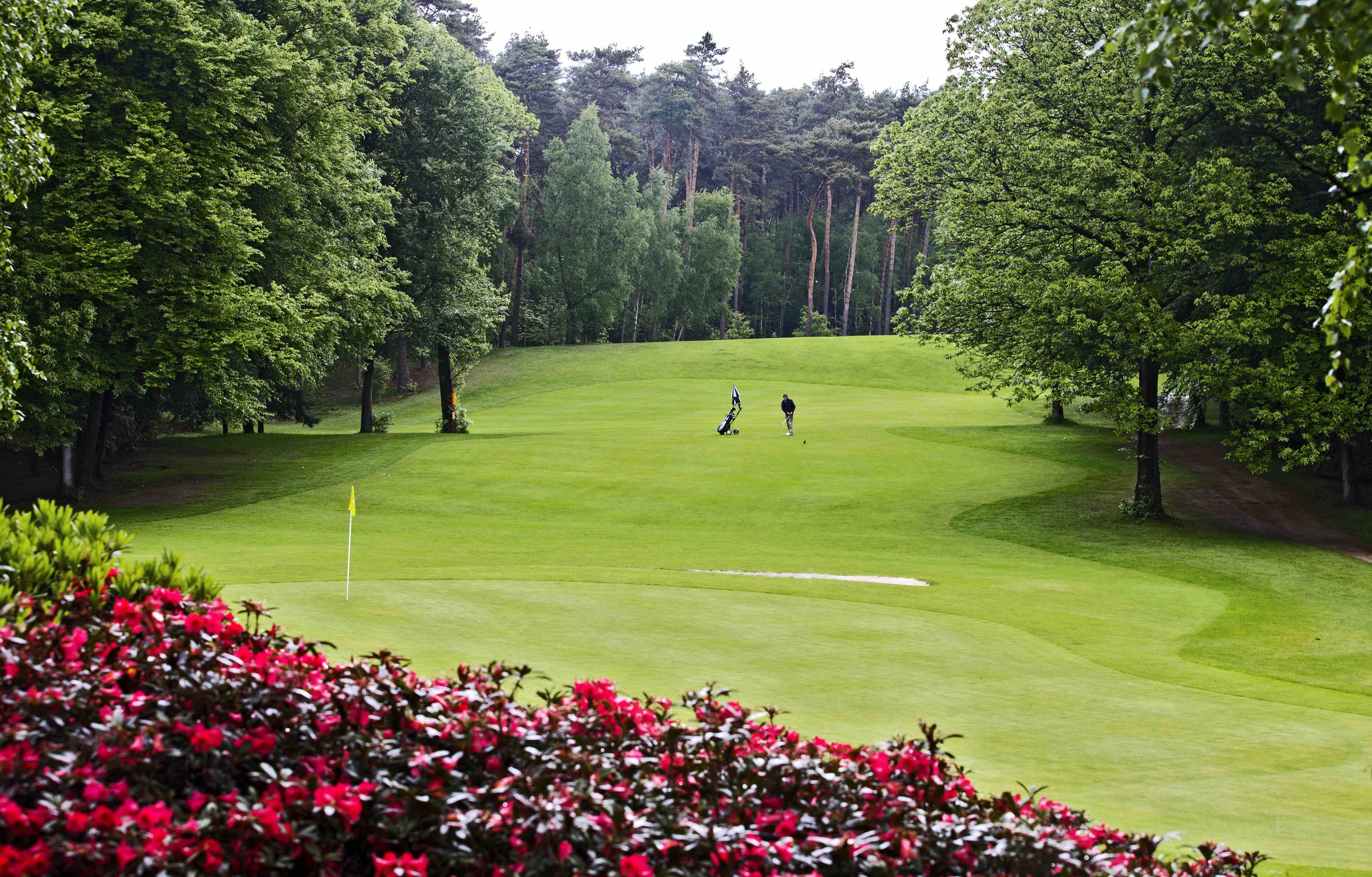 Impressionen des Golf Club de Herkenbosch. (Foto:Golf Club de Herkenbosch)