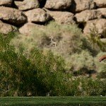 Zach Johnson und Webb Simpson als Headliner der Shriners Hospitals for Children Open - nach vier Jahren wieder ohne Justin Timberlake