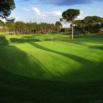 Montgomerie Maxx Royal
