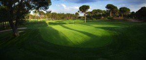 Montgomerie Maxx Royal