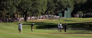 Die Valspar Championship findet im Innisbrook Resort and Golf Club in Florida statt. (Foto: Getty Images)