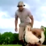 In diesem Golfwerbespot von American Express bekämpft Tiger Woods Nager auf dem Golfplatz. (Foto: Video)