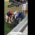 Der 20-jährigen College-Golferin rollt ihr Trolley ins Wasser (Foto: Twitter/Maryland Women's Golf)