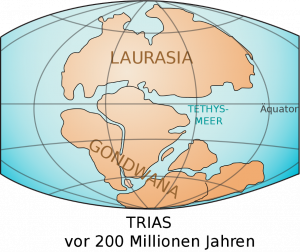 Gondwana Kontinent (Foto Wikipedia)