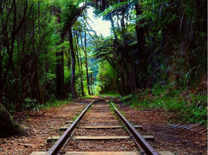 Hauraki Rail Trail (Foto Good Soul for You Where Kiwis holidays The Coromandel)