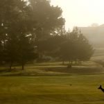 Golfplätze als Lebensraum: Nachhaltige Projekte wie "GolfBiodivers" fördern die Artenvielfalt und beweisen, dass Umweltschutz und Sport harmonieren können. (Foto: Getty)