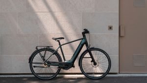 Decathlon: Das neue LD 920E AUTOMATIC E-Bike mit hohem Einstieg. (Foto: Decathlon)