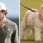 Gareth Bales Ball wurde bei der Alfred Dunhill Links Championship von einem Hund stibitzt. (Foto: Getty)