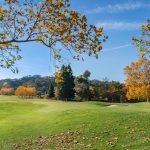 Beim Golfspiel im Herbst entstehen häufig ungewöhnliche Situationen. (Quelle: Unsplash)