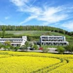 Heitlinger Genusswelten vereinen Golfsport und die Welt des Weins. (Foto: Instagram/@heitlinger_genusswelten)