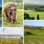 Von Asiens Metropolen bis zu Schottlands Links-Kursen: Das Golfjahr 2024 zeigte spektakuläre Reiseziele. (Fotos: Phil Inglis für The Machrie/ Jürgen Linnenbürger/Michael F. Bache/Trump Turnberry)