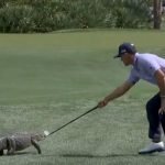 Billy Horschel vs. Alligator (Foto: X@GolfDigest).