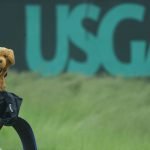 Das zeigt die Golf-Statistik der USGA über amerikanische Golferinnen und Golfer. (Foto: Getty)