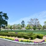 Das Innisbrook Resort auf der PGA Tour. Die Golf Wochenvorschau. (Foto: Getty)