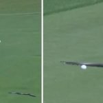 Eine Schlange zu Gast bei der PGA Championship 2025. (Screenshot: x.com/@SportsCenter)