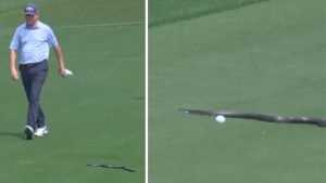 Eine Schlange zu Gast bei der PGA Championship 2025. (Screenshot: x.com/@SportsCenter)