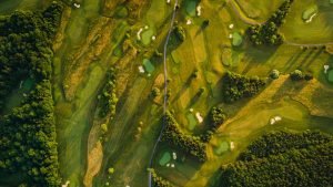 Eine Reise ins Burgenland. (Foto: Verein Regionalmarketing/Karl Schrotter)