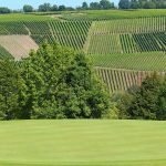 Idylle im GC Trier: Spitzengolf an der Mosel. (Foto: DGV/stebl)
