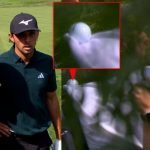 Kurioser Moment bei der DP World Tour: Ein Fall für die Golfregeln. (Foto: Youtube@DP World Tour)