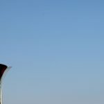 Am Saisonende wird der Sieger der DP World Tour Champion mit der Harry Vardon Trophäe gekrönt.(Foto: Getty)