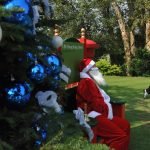 Weihnachtsgeschenke für Golferinnen und Golfer für unter 100 Euro. (Foto: Getty)